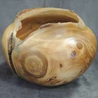 Ed-Otero-Natural-Edge-Bowl-Unknown-Wood