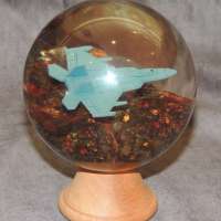 Burl-with-Plane-Photo-5