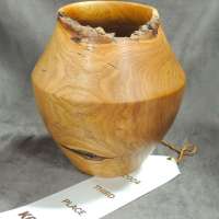 Ed-Otero-Vase-Chinese-Elm